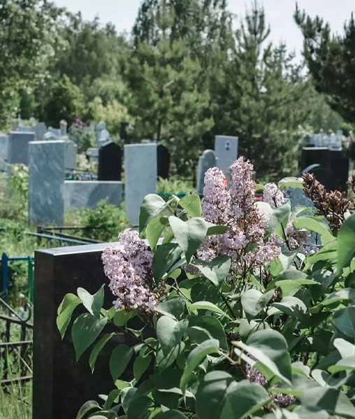 Фото памятников на кладбище