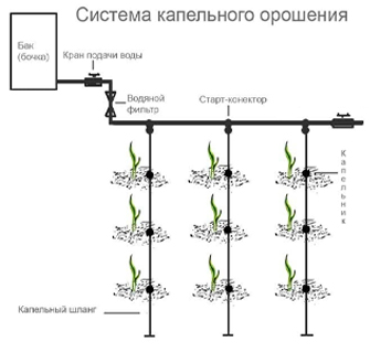 Система орошения