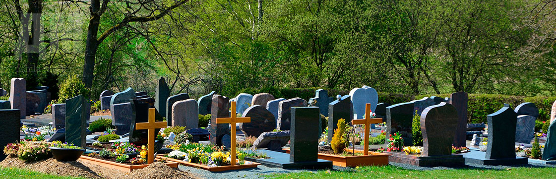 К чему снится кладбище — сонник: кладбище во сне | taimyr-expo.ru